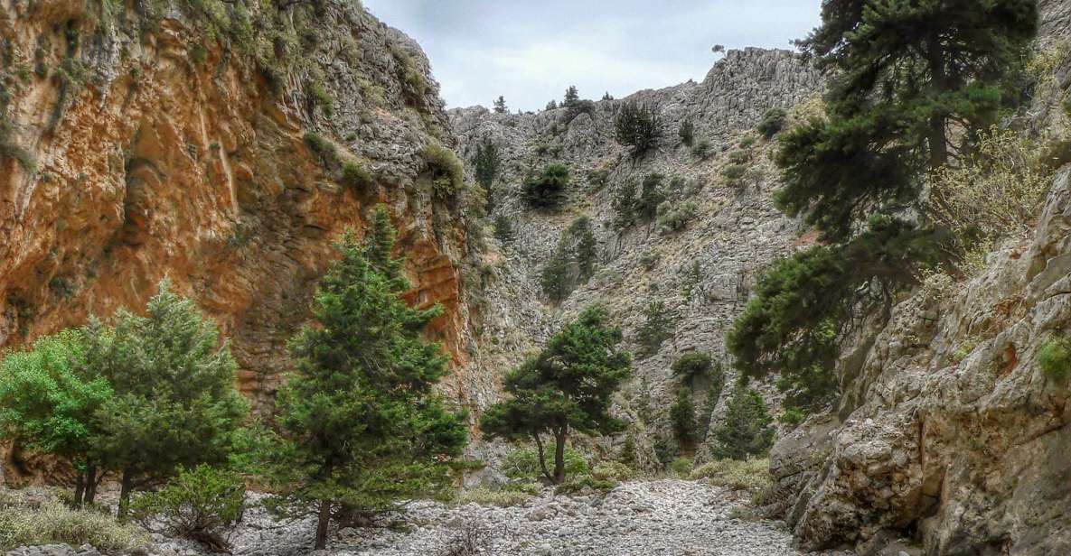 From Chania/Almyrida : Imbros Gorge Hike - Pickup and Transportation Details