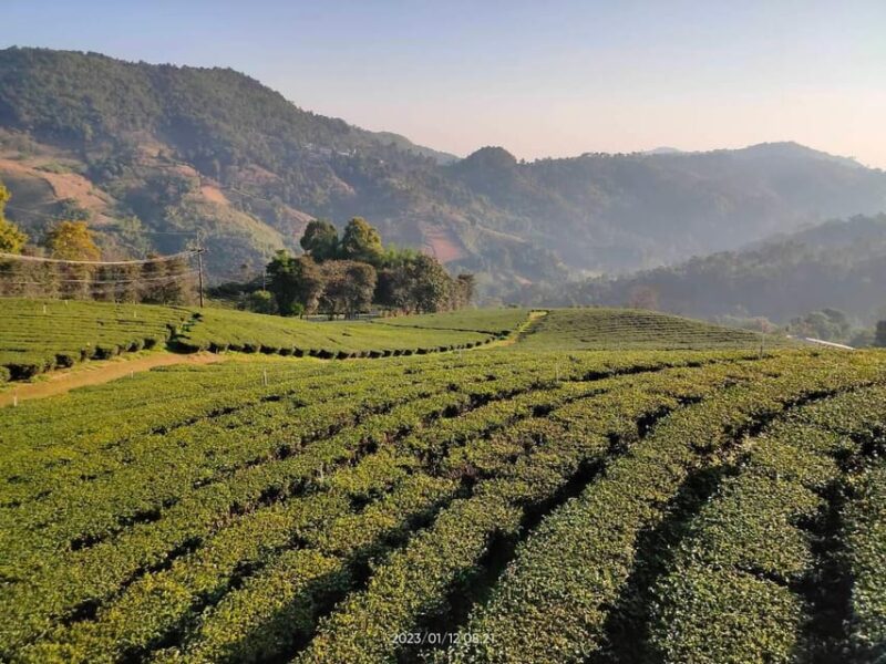 From Chiang Mai : 2 Days Chiang Rai - All Highlights - Inclusions