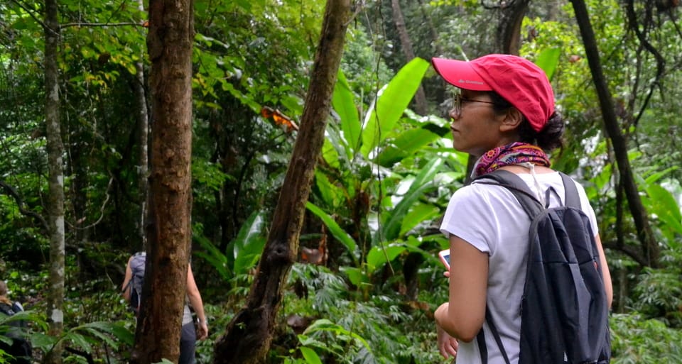 From Chiang Mai: Mae Taeng Valley Hike & Bike Day Trip - Hiking Through Local Trails