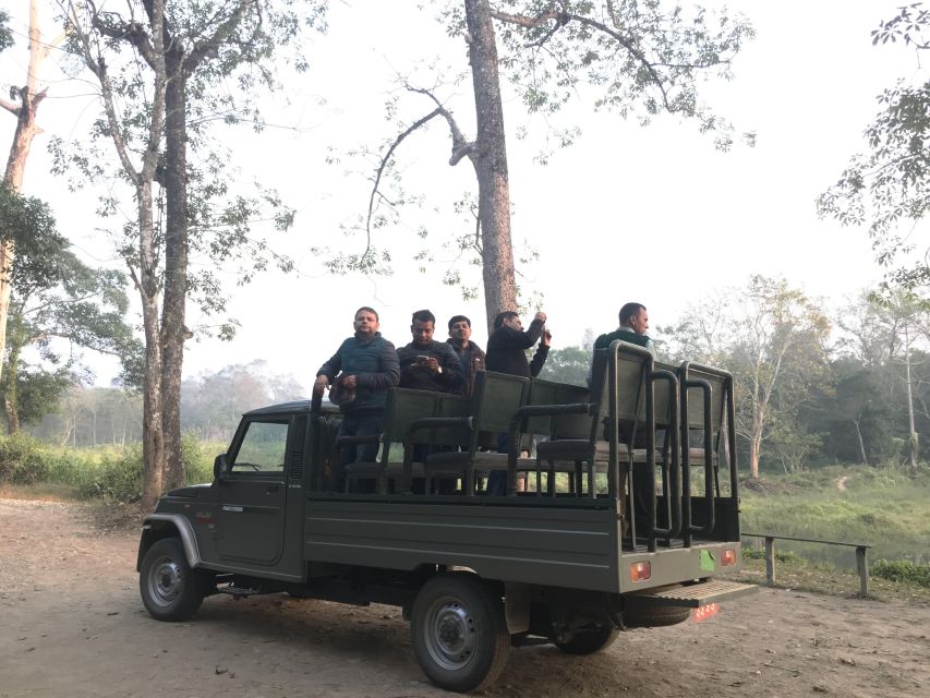 From Chitwan : Jeep Safari,Canoeing,Forest Walk Day Tour - Detailed Itinerary