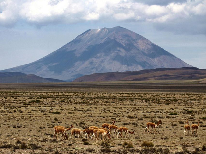 From Chivay: Route From Chivay (Colca) to the City of Puno - Key Points