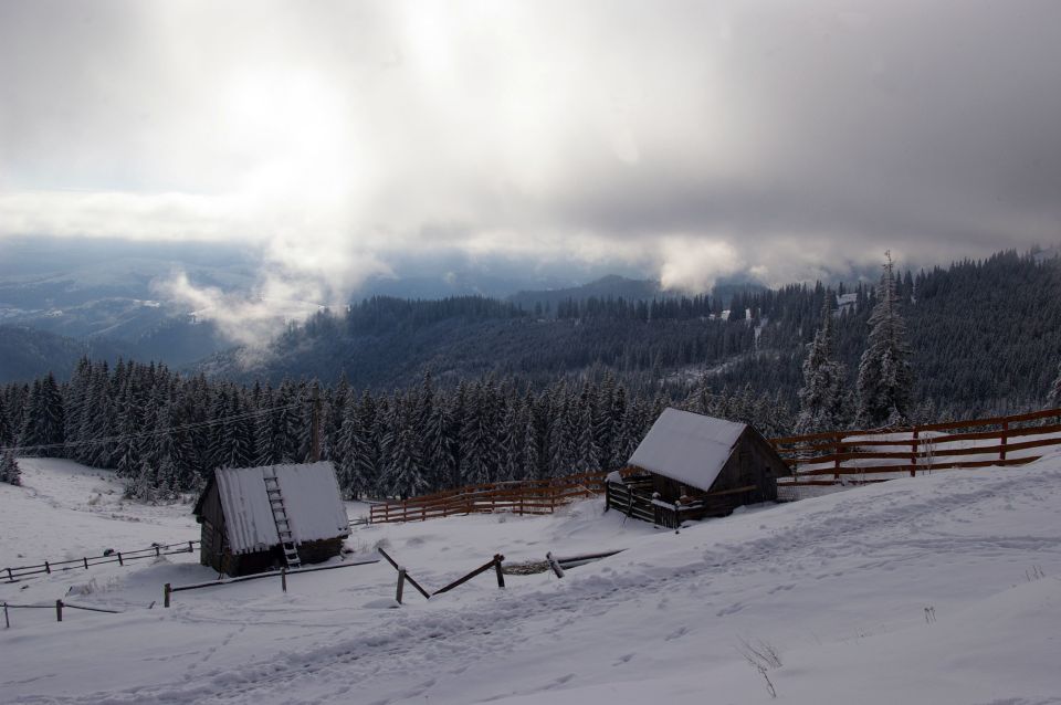 From Cluj-Napoca: Day Hike to Vlădeasa Peak - Pricing and Booking Details