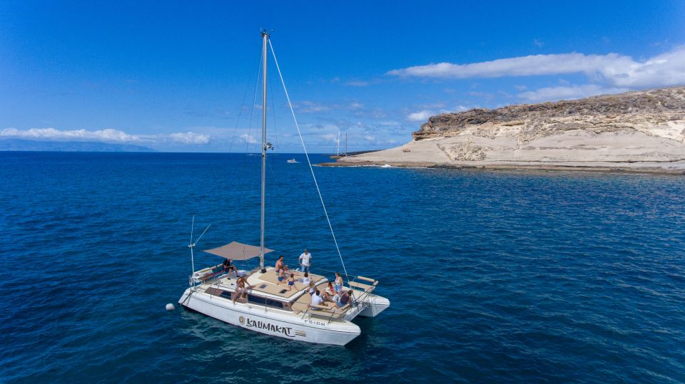 From Costa Adeje: Private Catamaran Tour With Snorkeling - Experience Highlights