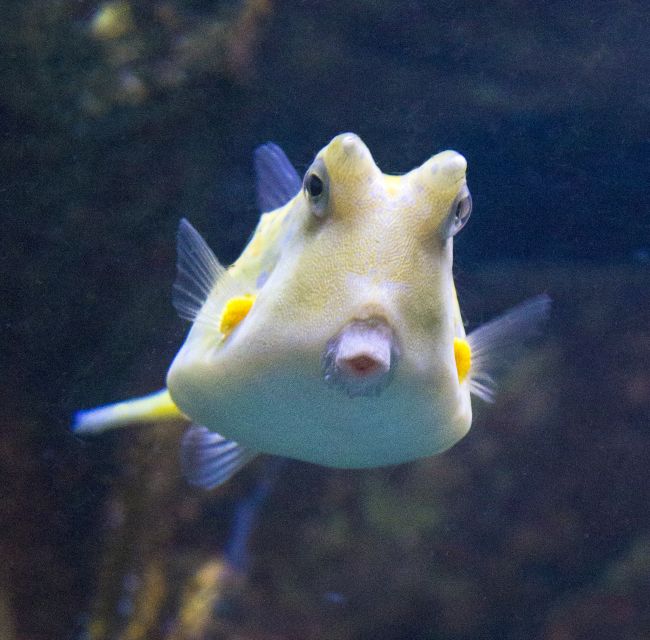 From Costa Brava: Barcelona Day Trip With Aquarium Visit - Transportation and Pickup Details