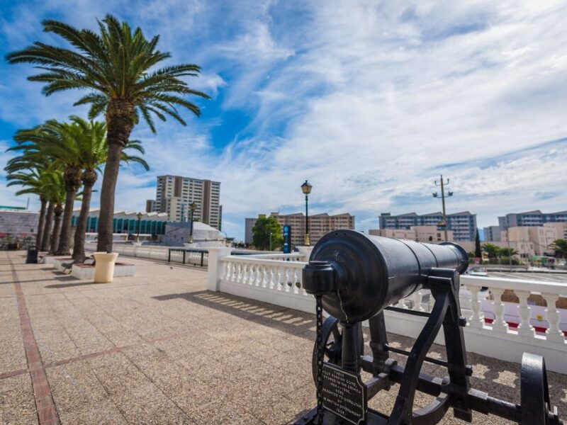 From Costa Del Sol: Gibraltar Dolphin Watching by Boat - Itinerary