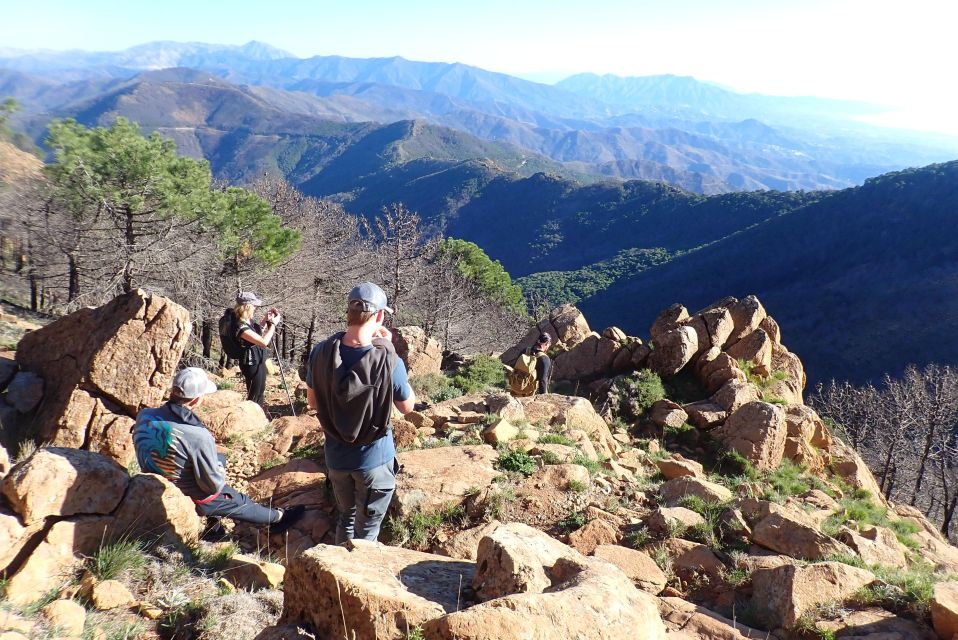 From Costa Del Sol: Sierra Bermeja Private Hiking Tour - Itinerary Details