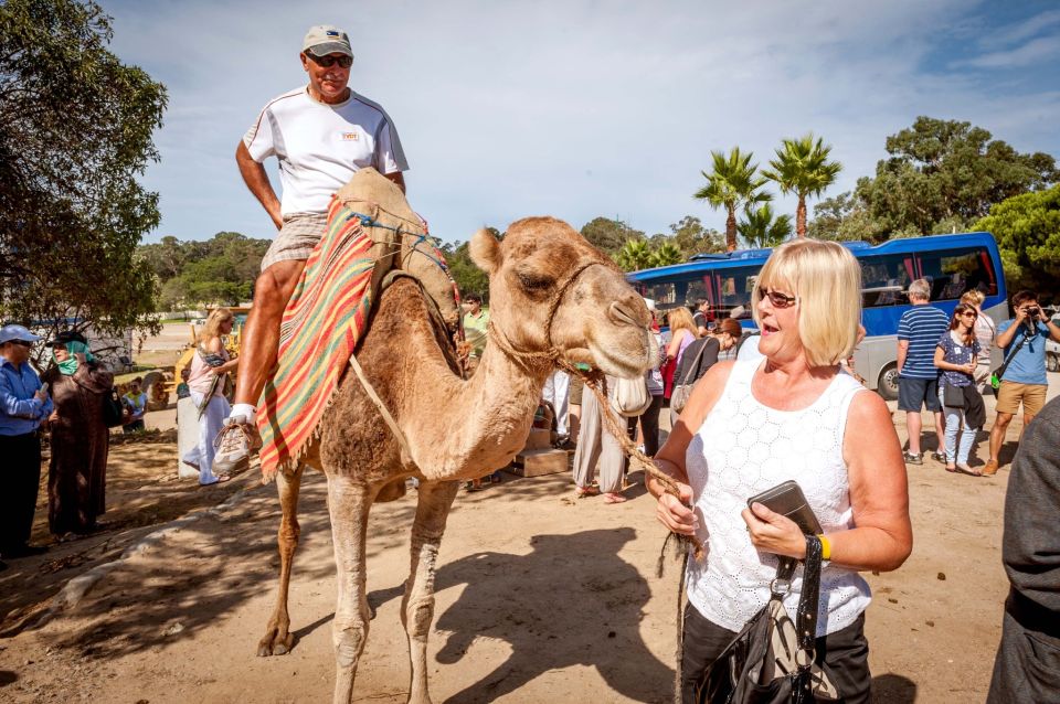 From Costa Del Sol: Tangier Full-Day Tour by Ferry - Experience Highlights