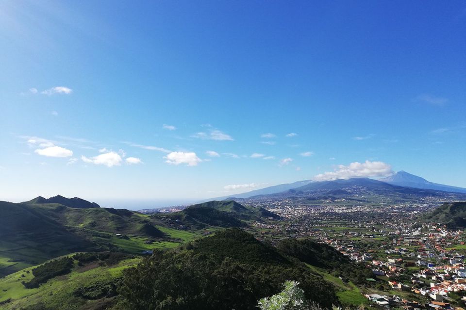 From Cruz Del Carmen: Hiking in Anaga With Food Testing - Included Experiences