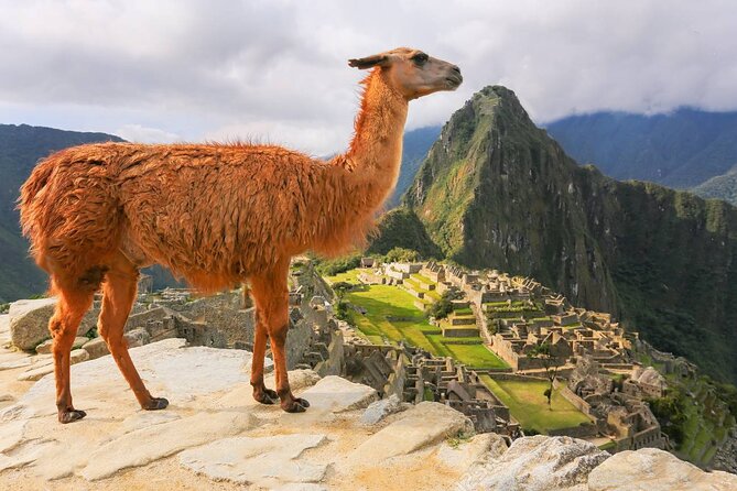 From Cusco: Machu Picchu Full-Day Group Tour - Pickup Information