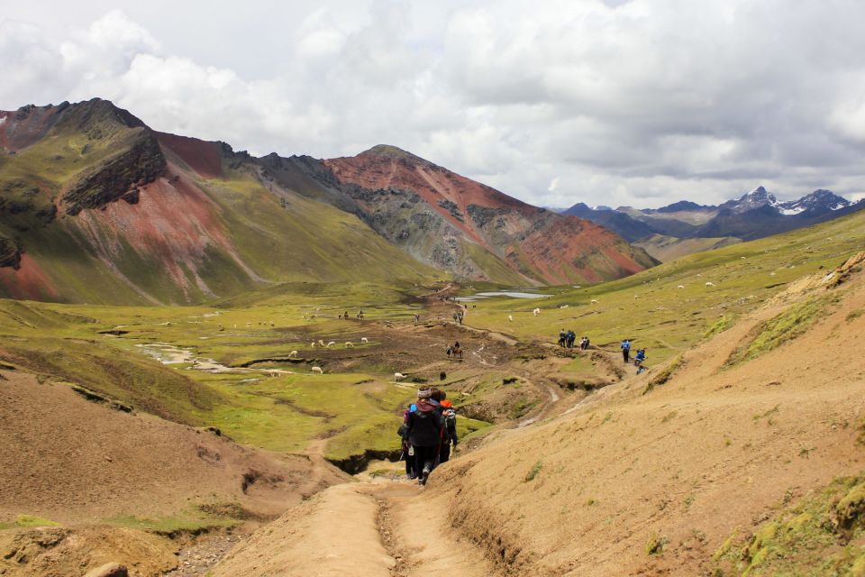 From Cusco: Rainbow Mountain Trek - Itinerary Details