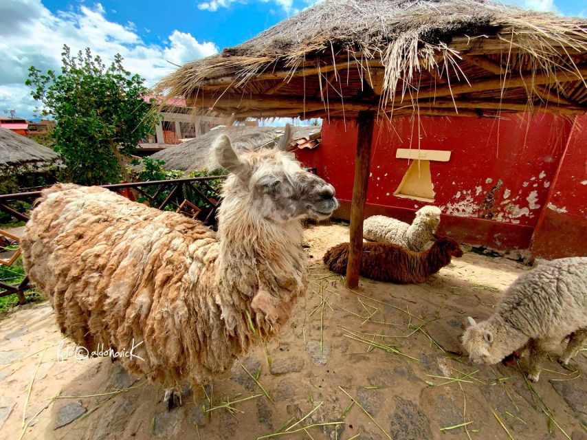 From Cusco || Tour to the Entire Sacred Valley of the Incas - Itinerary Highlights