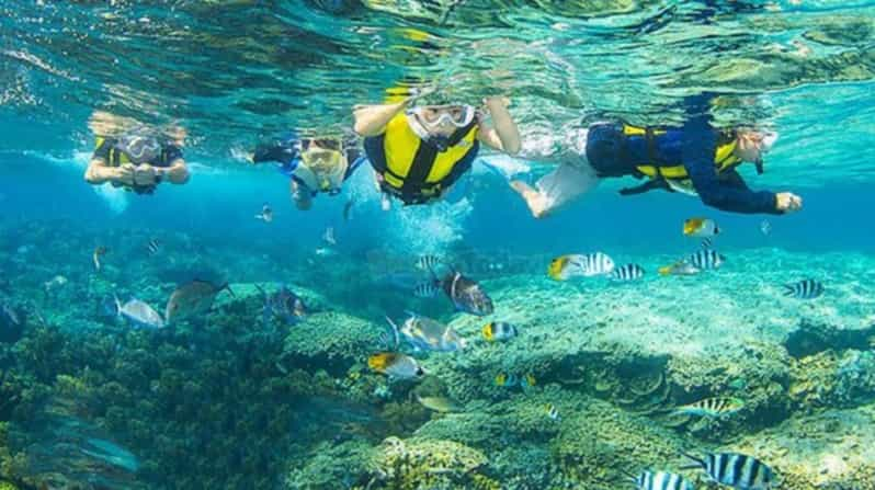 From Da Nang/Hoi An:Cham Island With Snokerling and Diving - Location and Duration