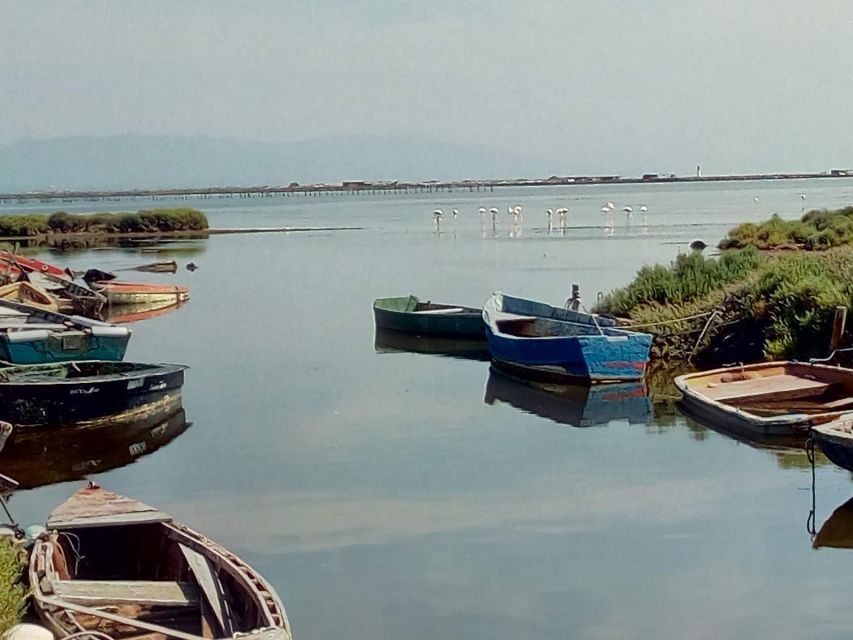 From Deltebre: Ebro Delta National Park Multi-Stop Day Trip - Tour Highlights and Experience