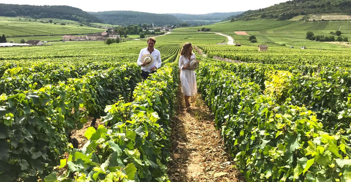 From: Dijon/Beaune: Burgundy Region Winery Tour With Lunch - Itinerary Highlights