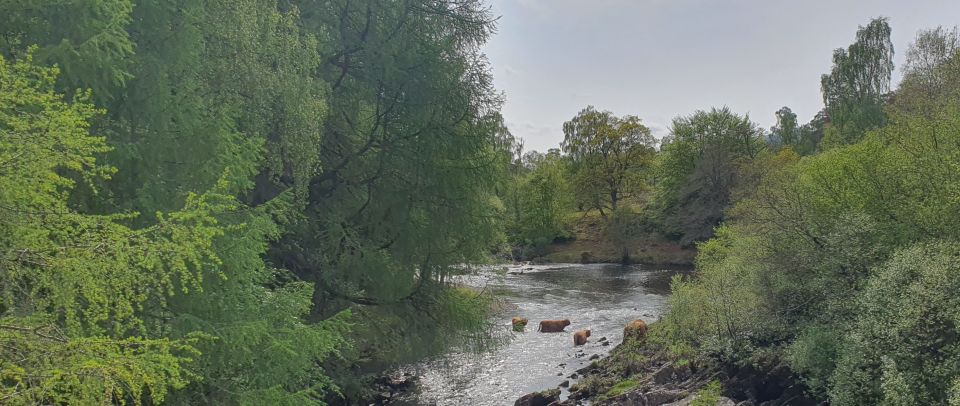 From Edinburgh: Off-The-Beaten-Track Scottish Highlands - Unique Experience Highlights