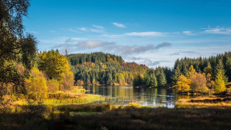 From Edinburgh: Stirling Castle, Kelpies and Loch Lomond - Highlights of Stirling Castle