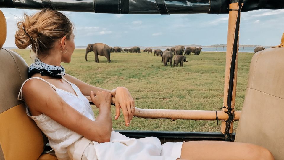 From Ella: Udawalawe Safari With Elephant Transit Home Visit - Itinerary and Experience