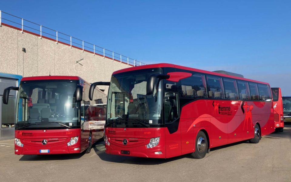 From Fiumicino Airport: 1-Way Bus Transfer to Paganico - Comfort and Amenities