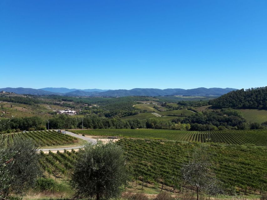 From Florence: Vintage Fiat 500 Chianti & Tuscany Wine Tour - Experience Highlights