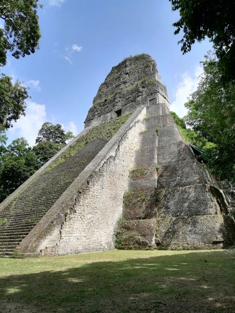 From Flores: Tikal Private Day Tour Exclusive - Flexible Itinerary Options