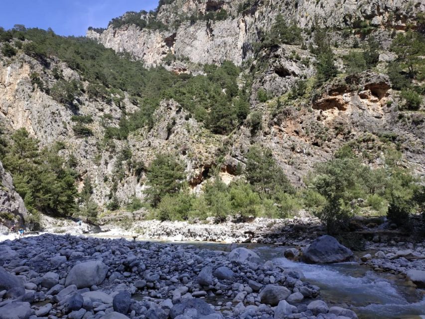 From Georgioupolis: Roundtrip Transfer to Samaria Gorge - Hiking Experience