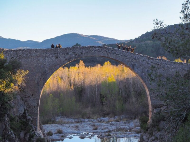 From Girona: Besalú, Banyoles & Historical Garrotxa Day Trip - Included Services