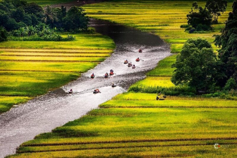 From Ha Noi: Ninh Binh 2 Days & Cuc Phuong National Park - Highlights and Activities