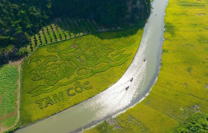 From Ha Noi: Ninh Binh Hoa Lu Trang An Day Tour - Highlights of Ninh Binh