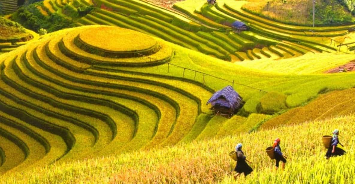 From Hanoi: 3-Day Sapa Trekking Tour With Homestay or Hotel - Itinerary Highlights