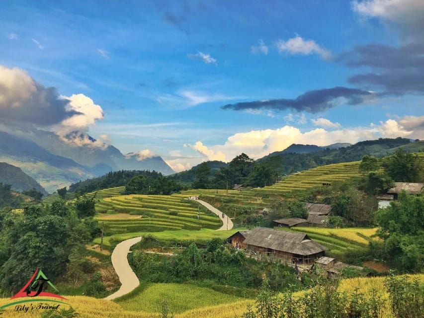 From Hanoi: Admire The Terraced Field In The Local Village - Experience Highlights