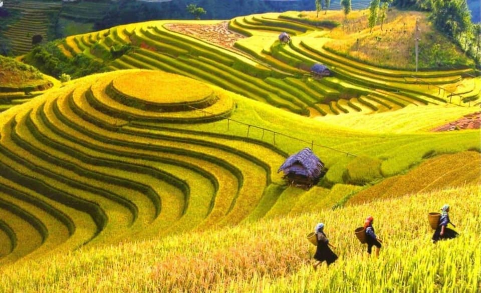 From Hanoi: Admire The Terraced Fields In Sapa For 2 Days - Trekking Adventure