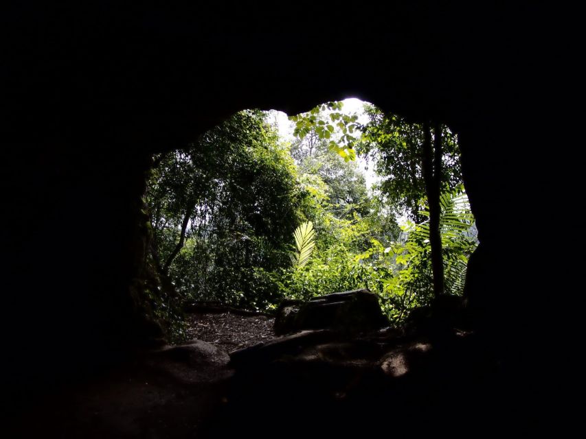 From Hanoi: Cuc Phuong National Park - Travel and Transportation Options