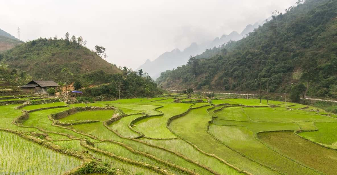 From Hanoi: Ha Giang Motorbike Tour 3 Days With Local Rider - Itinerary Highlights