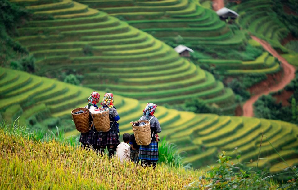 From Hanoi: Mai Chau Full Day - Group Tour - Itinerary