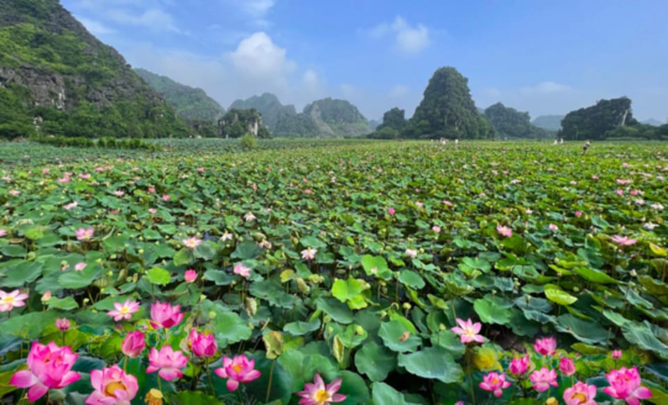 From Hanoi: Ninh Binh – Bai Dinh & Trang An & Mua Cave Tour - Highlights of Bai Dinh