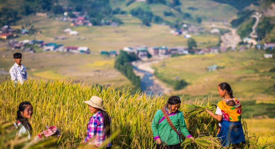 From Hanoi: Trek and Stay: 3-Day Sapa Highlands Adventure - Detailed Itinerary