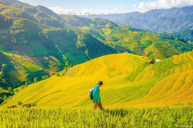 From Hanoi: Visit Sapa, Trekking To Local Village In 2 Days - Experience Highlights