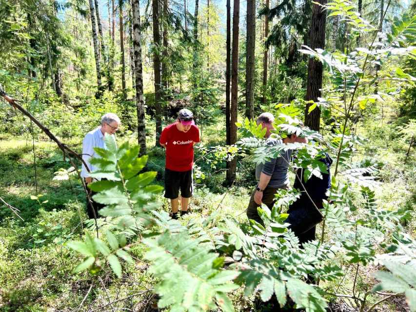 From Helsinki: Hike and Sauna in Sipoonkorpi National Park - Itinerary Highlights