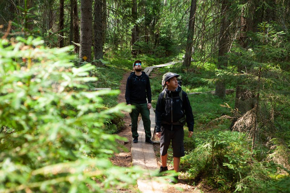 From Helsinki: Magical Taiga Hike in Liesjärvi National Park - Itinerary Highlights