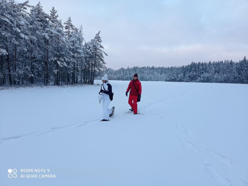 From Helsinki: Nuuksio National Park Hiking Tour With Food - Experience Highlights