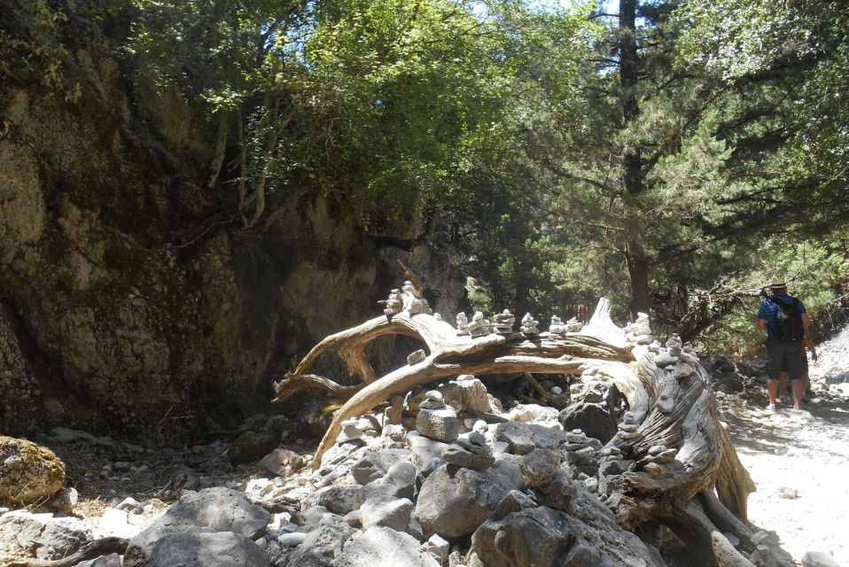 From Heraklion: Imbros Gorge Hiking Experience - Hiking Route and Experience