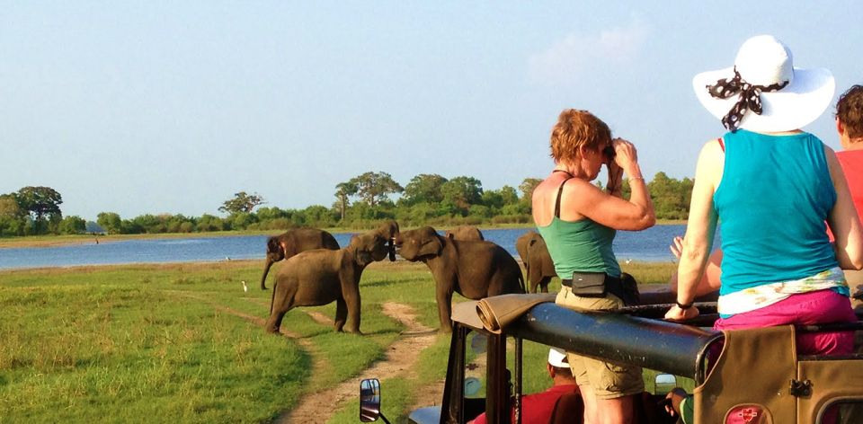 From Hikkaduwa: Udawalawe National Park Safari Tour - Wildlife Experience