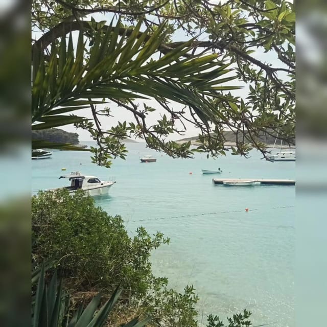 From Hvar: Pakleni Islands Private Boat Tour - Inclusions and Amenities