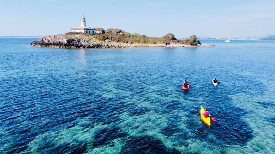 From Inmood Hotel Alcanada. Kayaking Guided Route Island - Pricing and Discounts