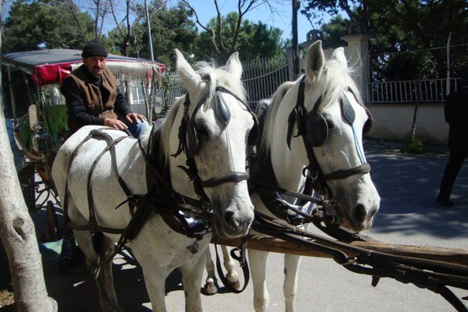 From Istanbul: Büyükada Walking Full-Day Tour - Itinerary Highlights