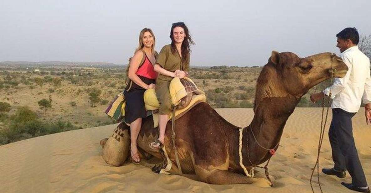 From Jodhpur : Camel Safari , Buffet Dinner + Folk Dance - Pricing Details