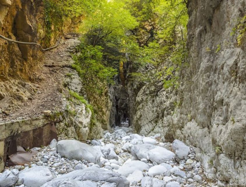 From Kalamata: Ridomo Gorge Hiking Tour With Greek Coffee - Experience Highlights