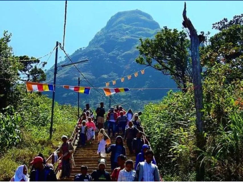 From Kandy: Adams Peak Trekking & Epic Guided Hike - Guided Night Ascent