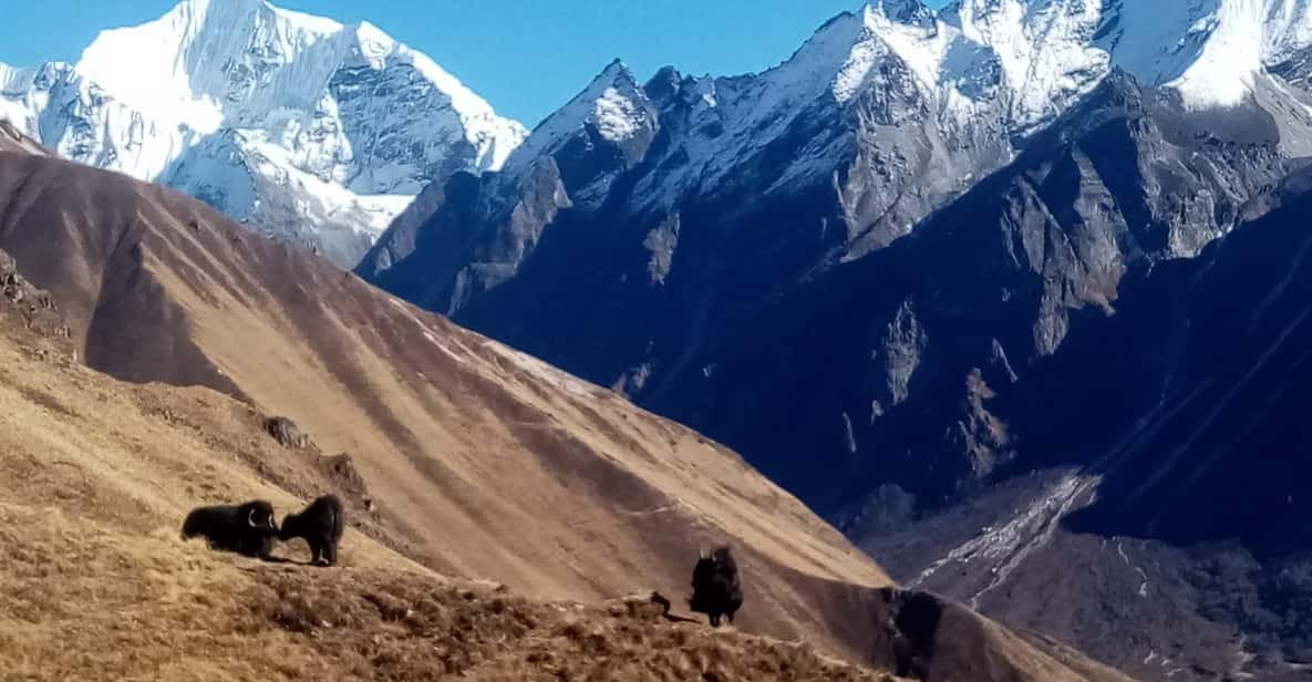 From Kathmandu: 15 Day Manaslu Circuit Trek - Detailed Itinerary