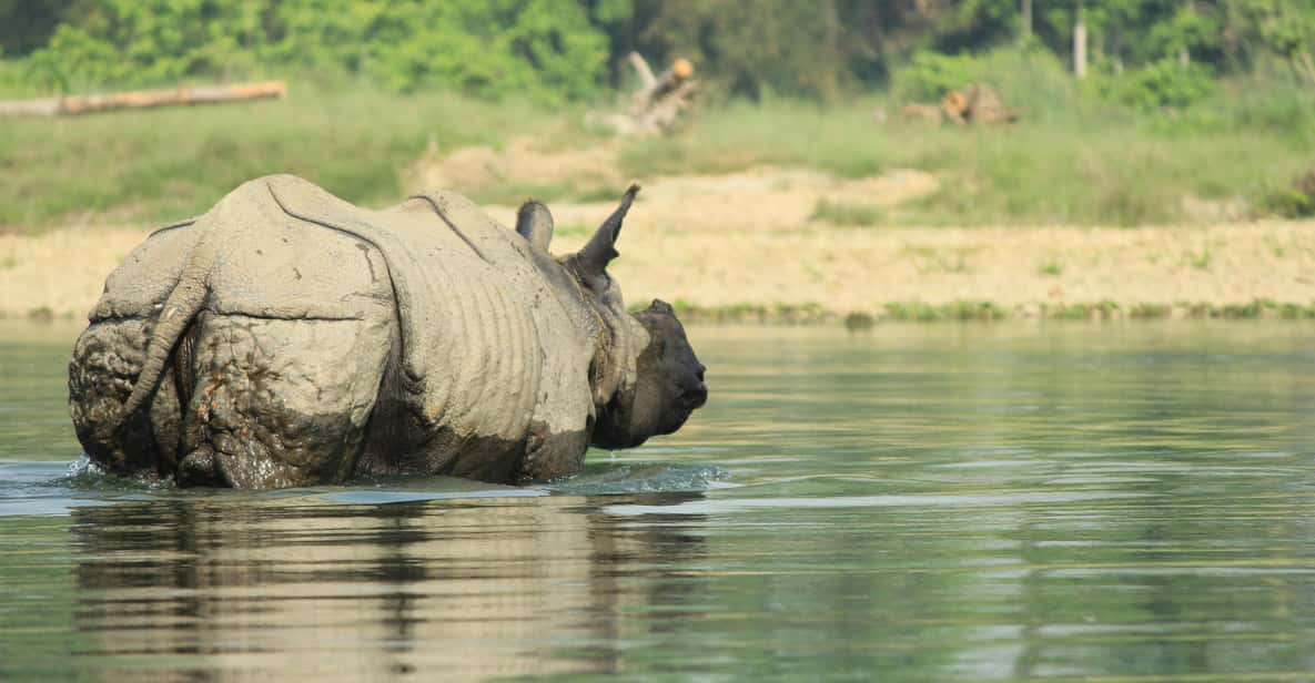 From Kathmandu: 4-Day Chitwan National Park Safari - Day-by-Day Itinerary